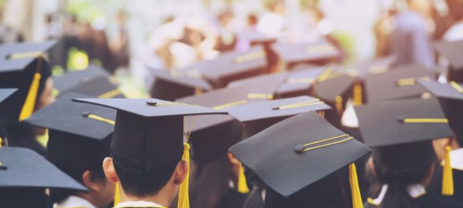 Crowd of graduates wearing caps and gowns, from the back.